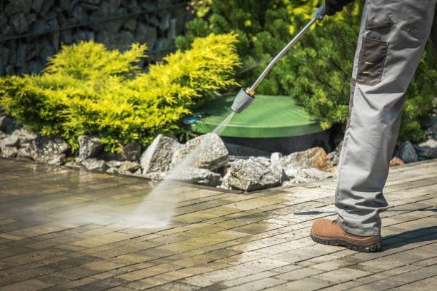 Best Pre-Holiday Cleaning  in Muscoy, CA