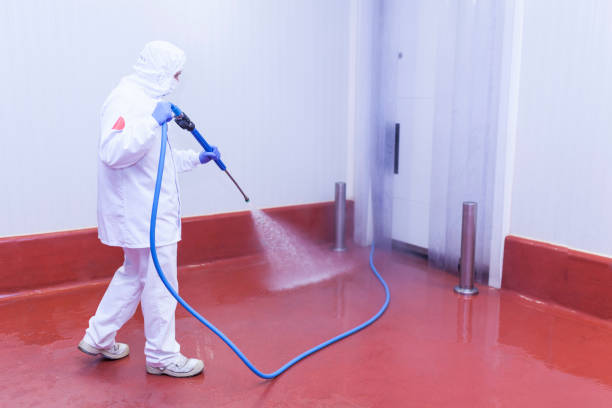 Best Solar Panel Cleaning  in Muscoy, CA